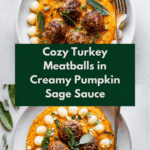 Turkey Meatballs in Pumpkin Sage Sauce Recipe