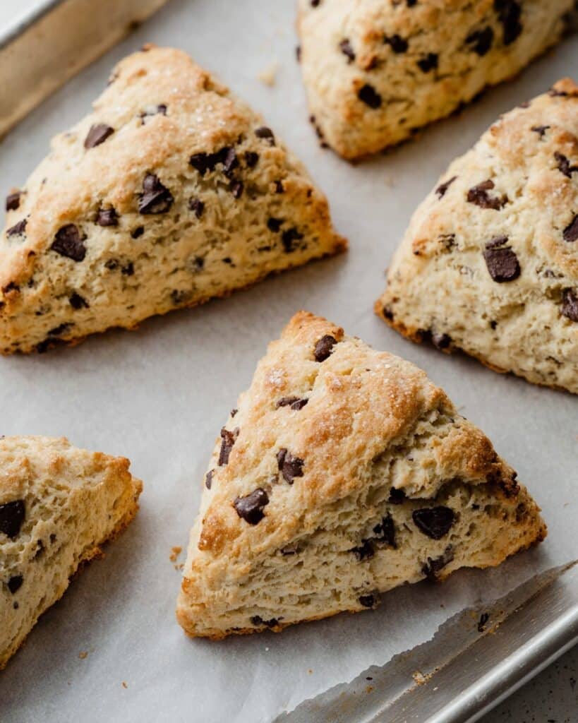 Chocolate Chip Sourdough Scones Recipe